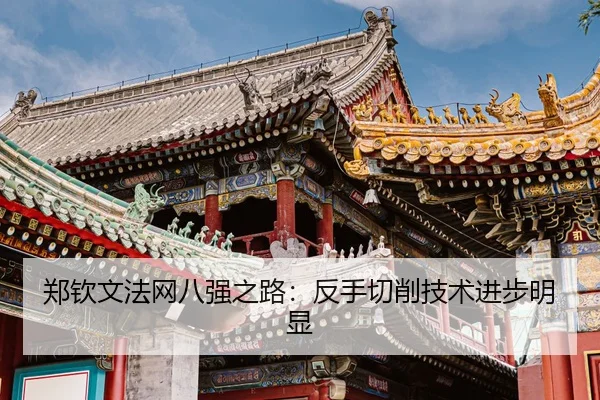zheng-qin-wen-fa-wang-ba-qiang-zhi-lu-fan-shou-qie-xiao-ji-shu-jin-bu-ming-xian-3-321.jpg
