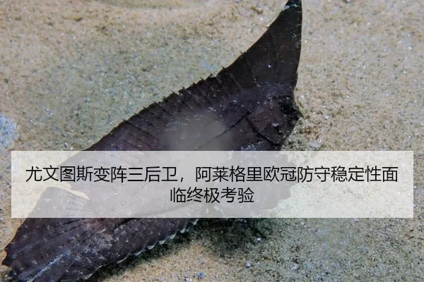 you-wen-tu-si-bian-zhen-san-hou-wei-a-lai-ge-li-ou-guan-fang-shou-wen-ding-xing-mian-lin-zhong-ji-kao-yan-2-990.jpg